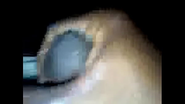 Play MP4 - mailman world