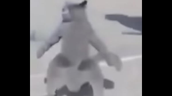 Gato bailando Ch&eacute_vere