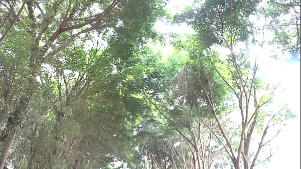 Nonton Cette Vid&eacute;o Est Tir&eacute;e D'une Histoire Vraie : Regardez Tr&egrave;s Attentivement S'il Vous Pla&icirc;t Car Elle Tirer D'une Histoire R&eacute;elle !!! Abonnez Vous Massivement Sur Notre Cha&icirc;ne Pour Plus De D&eacute;tails thumbnail