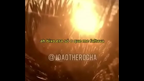 Qual o melhor apk editor pra videos?