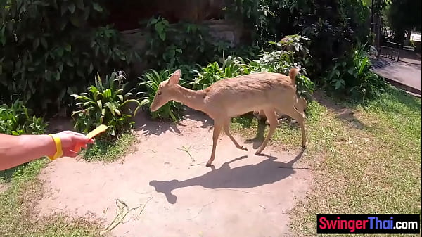 Asian GF with a perfect bubble butt had sex with her BF once they got home 