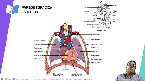 intro cardio trepuda 