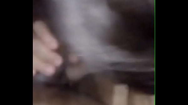 Play MP4 - Chupei o corno trouxa e esfreguei na cara que ele nunca me fez gozar&excl;