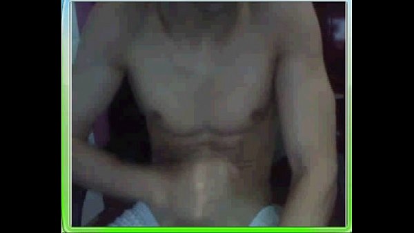 Play MP4 - Gato Pauzudo