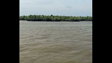 Bokep Info thumbnail