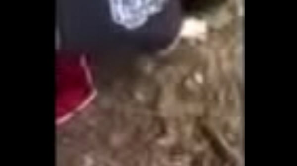 Having Fun in the Forest 