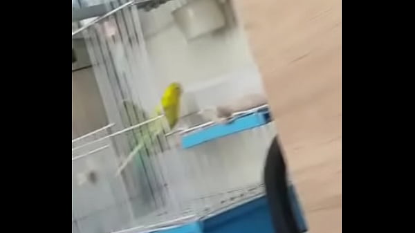 Alface pego na rapidinha com uma piriquita gostosa demais muito linda 