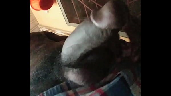 Play MP4 - Verification video