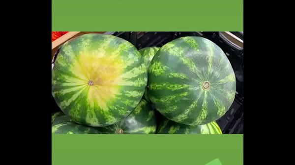 Play MP4 - Justsmilesanjoy - Update &num;120 &lpar;2023-02-25T00&colon;40&colon;39&period;000Z&rpar;