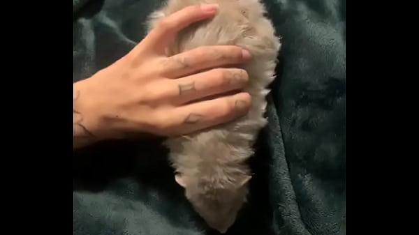 Nonton Literally This Chonka Rodent Has No Idea How Much He Helps My Mental Health thumbnail