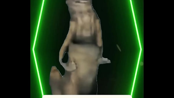 The music slows the lights dim and all that&rsquo;s left is the heartbeat between two dancers 