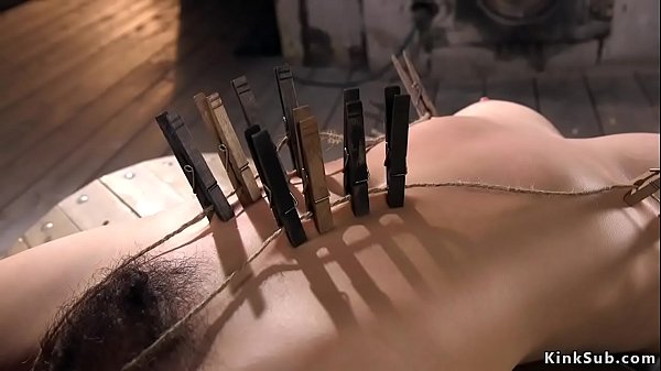 Busty hairy babe caned in hogtie suspension