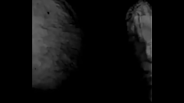 Nonton Schwingender Schwanz thumbnail