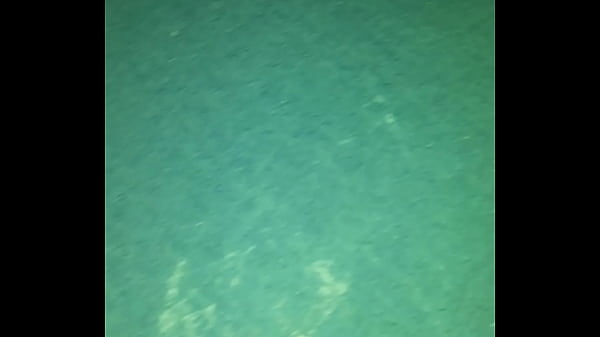 V&iacute_deo de verifica&ccedil_&atilde_o