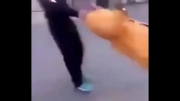 Ahabvs