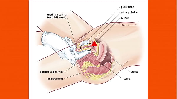 คลิปมีเซ็ก