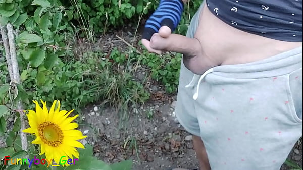 Sehr Geiles Outdoor Wichsen Und Abspritzen Auf Eine Sonnenblume thumbnail