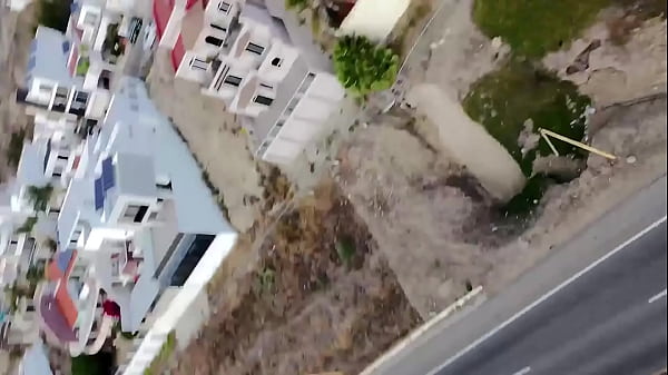 Mi amigo el "chismoso volador" me abandono