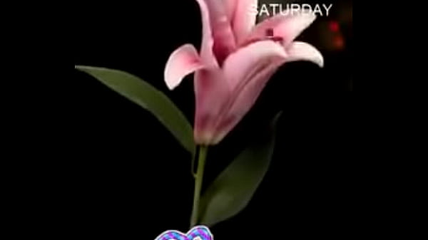 V&iacute_deo de verificaci&oacute_n