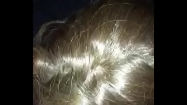 6823b800 ad07 4339 9466 5e7e693a67a3 