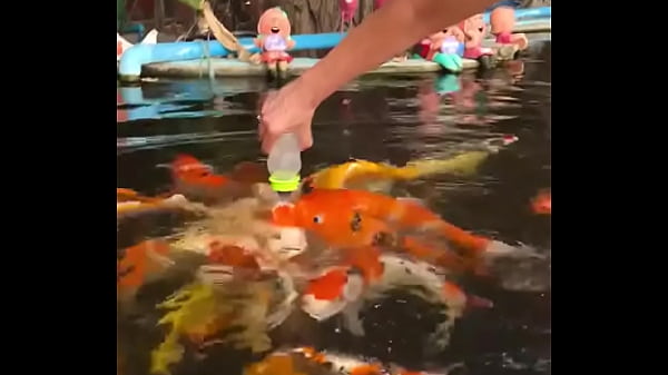 Only a few more days in thailand i&rsquo;ll be back next year 