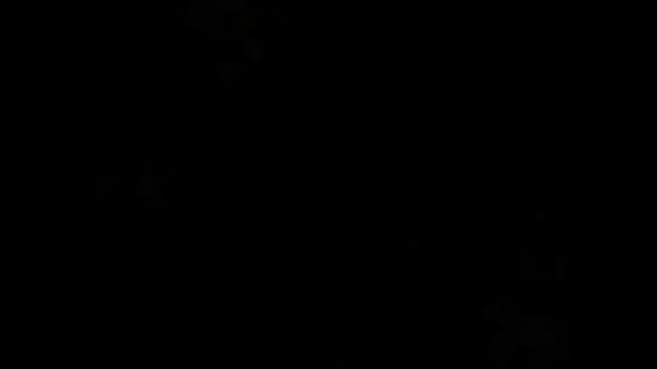 Nonton Blonde's Sweet Wet Pink Pussy Gets Pounded In All Positions thumbnail