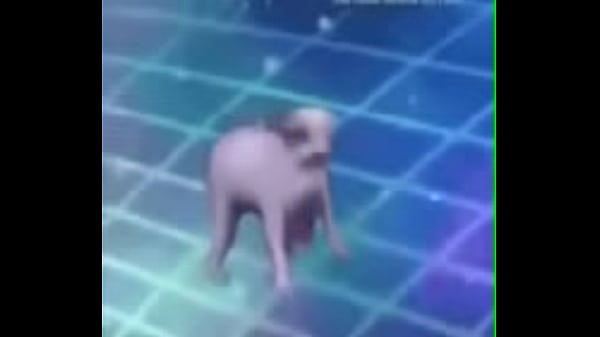 Pornohab35555ggg thumbnail