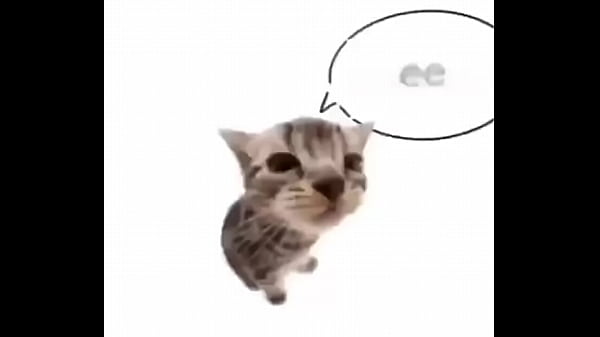 Play MP4 - 验证视频