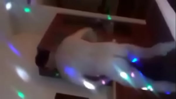 Baile Erotico thumbnail