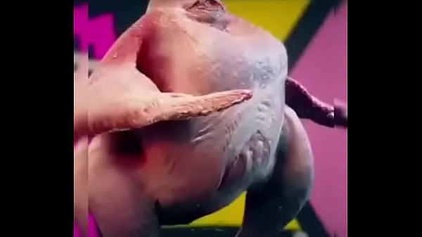 Nonton Furry Do Capeta Do Caraloh thumbnail