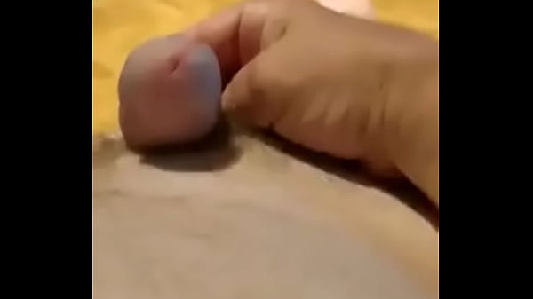 Zea812 - update #7 - 1000039783 - Apr 03, 2025