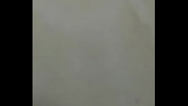 Fim da hist&ograve;ria de baratas fodendo loucamente vericalmente