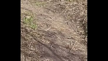 Exposed at Taylor Creek park