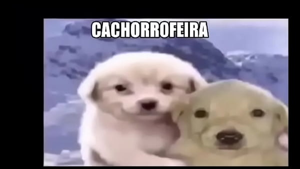 Irm&atilde;o come irm&atilde; no quarto de noite 