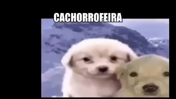 Irm&atilde;o come irm&atilde; no quarto de noite  1234567891011121314151617...112Next SEXBOKEP adalah Website Bokep Indonesia Terbaru dan Terlengkap Gratis dimana Anda dapat menonton streaming video bokep dan download vidio bokep terbaru yang sedang viral dengan aplikasi bokep android, Aplikasi bokep free download simontok app terbaru 2026 for PC Mobile Online dan HP     Contact Us   DMCA   Disclamer   Privacy and Policy   Conditions of Use  &copy; 2026 SEXBOKEP All rights reserved