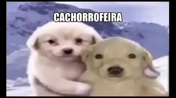 Irm&atilde;o come irm&atilde; no quarto de noite 