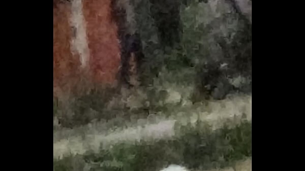 Nonton Pelao thumbnail