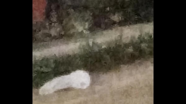 Calentando_la noche_e chiclayo