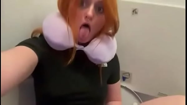 Pixie on the airplane flying to me #pee
