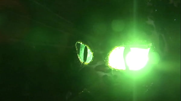 Nonton Being A Cute Kitty Is One Of Claudia's Fantasies, So When She Found Out Her Boyfriend Had... thumbnail