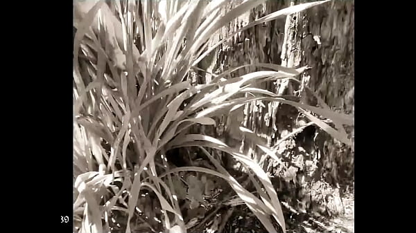 Silent Film Starring Arkansas Bbw Sally O'malley thumbnail