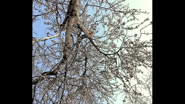 6bowboi_warm weather is_comin but still_cold