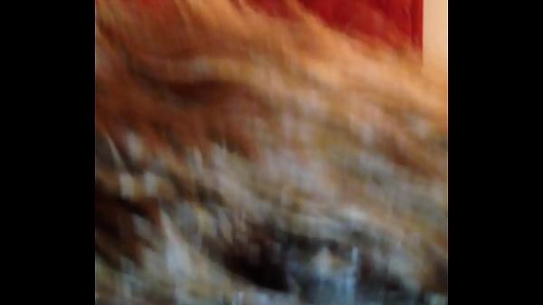 Play MP4 - BBW Latina sucking dick