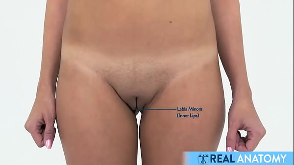 Naked Ladies 3 thumbnail