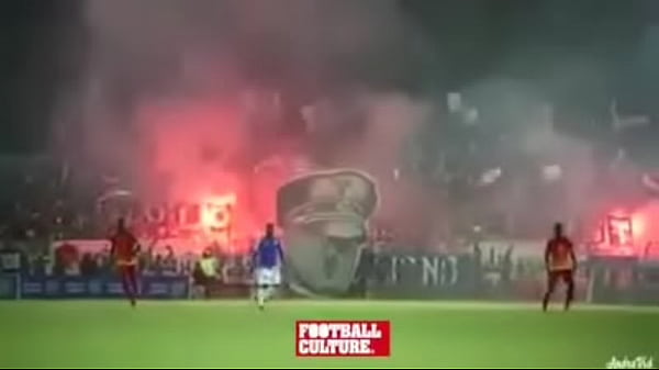 98d20ba1 63bb 4ae6 98a6 2a38294b2936