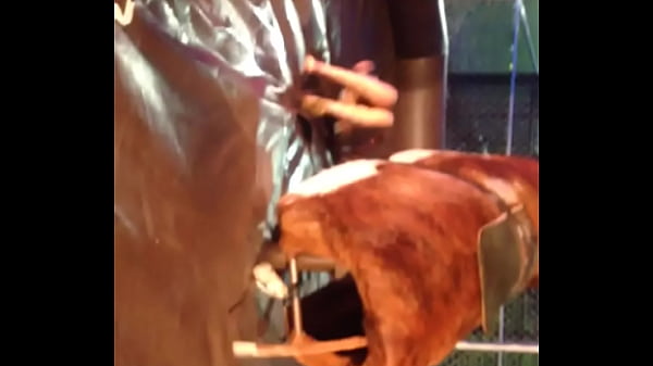 Video bokep part 13389229 