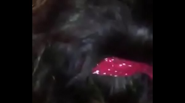 Minita De Grinder Sabroso Pack thumbnail