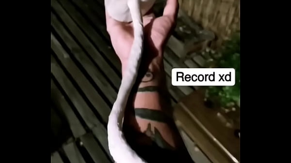 Nonton Callampa Gigante thumbnail