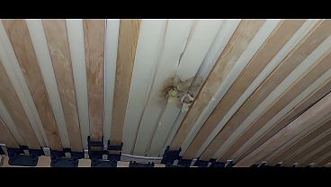 Play MP4 - masturbation with the hole in the mattress and ejaculation of sperm under the bed
