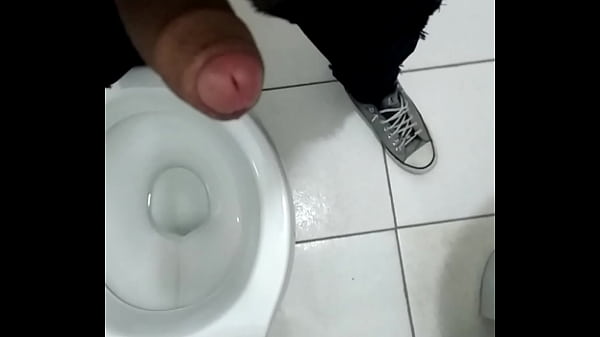 Novinho vers&aacute_til SSA / Lauro